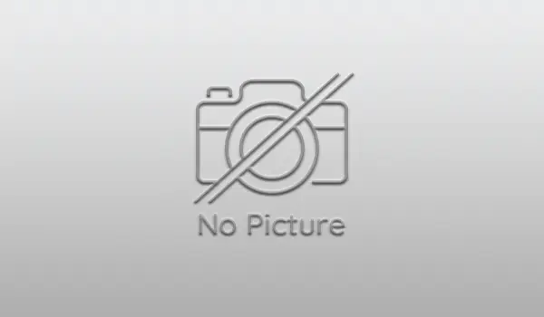 Lahan Sawah Irigasi Teknis